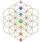 Flower of Life with Chakra Gems