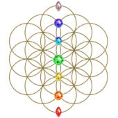 Flower of Life with Chakra Gems