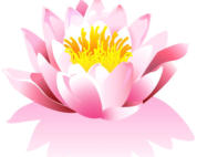 Lotus Flower
